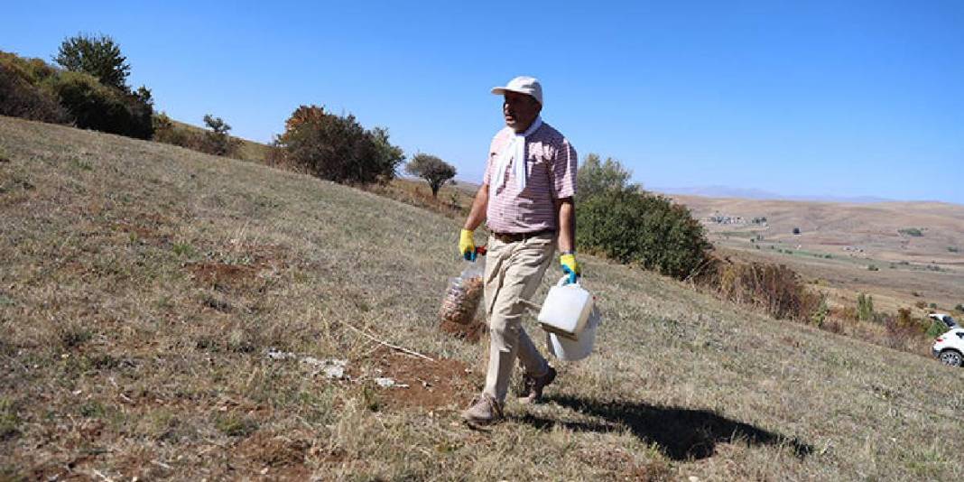 21 yıldır cebinde taşıyor, her yere ekiyor! Çorak araziler sayesinde ağaçlandı: Doğal tohumla canlandırıyor 5